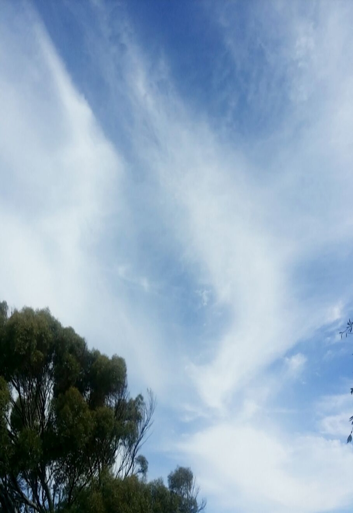 Patterned Clouds
