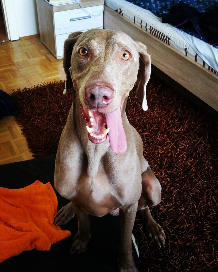 "Food Food Food!"