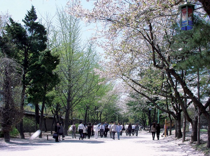 풍경이미지
