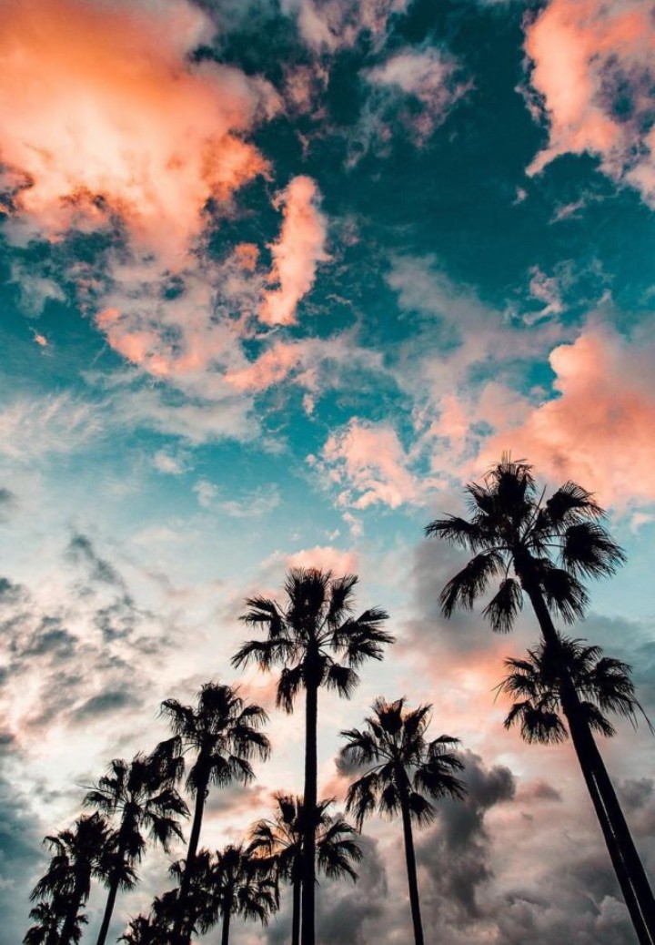 ~ #sky
