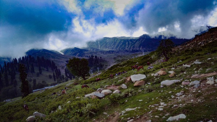 Mountain Rains