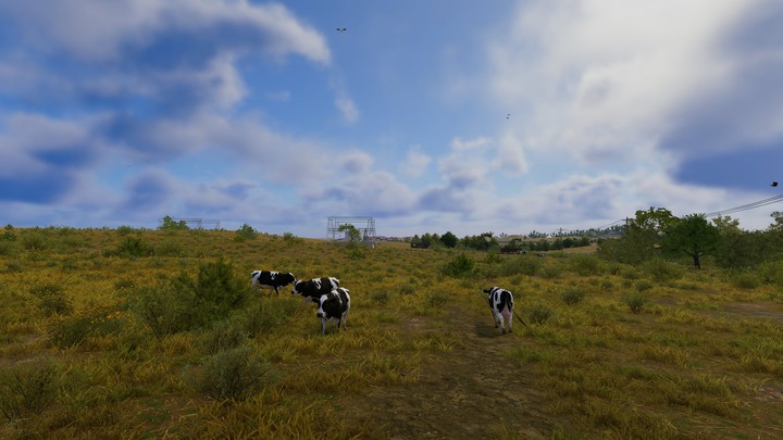 The Crew 2 (Game)