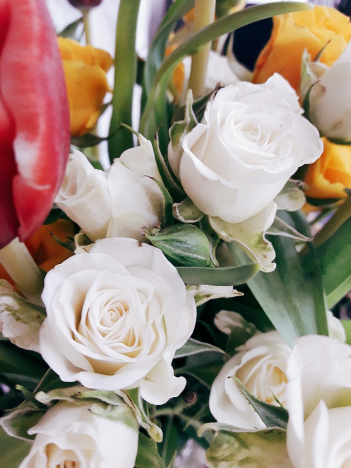 roses
