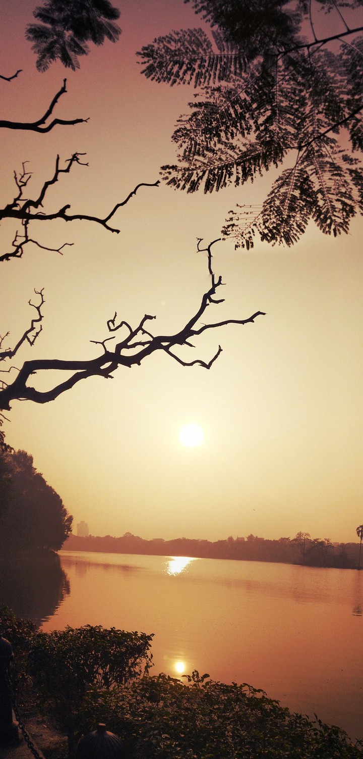 Sunrise