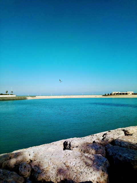 sky, sea, bird and rock