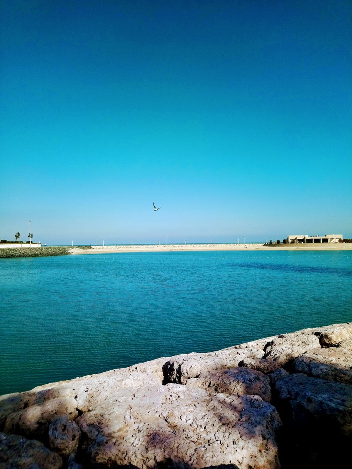 sky, sea, bird and rock