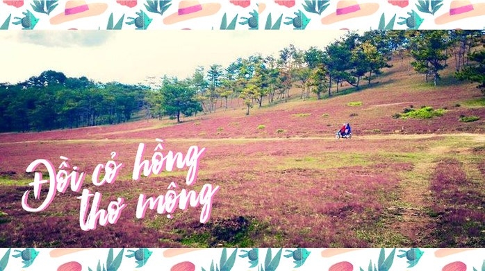 ĐỒI CỎ HỒNG THƠ MỘNG