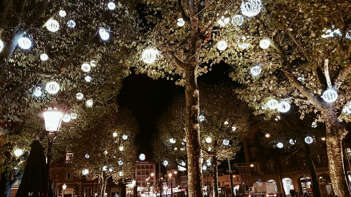 little lights