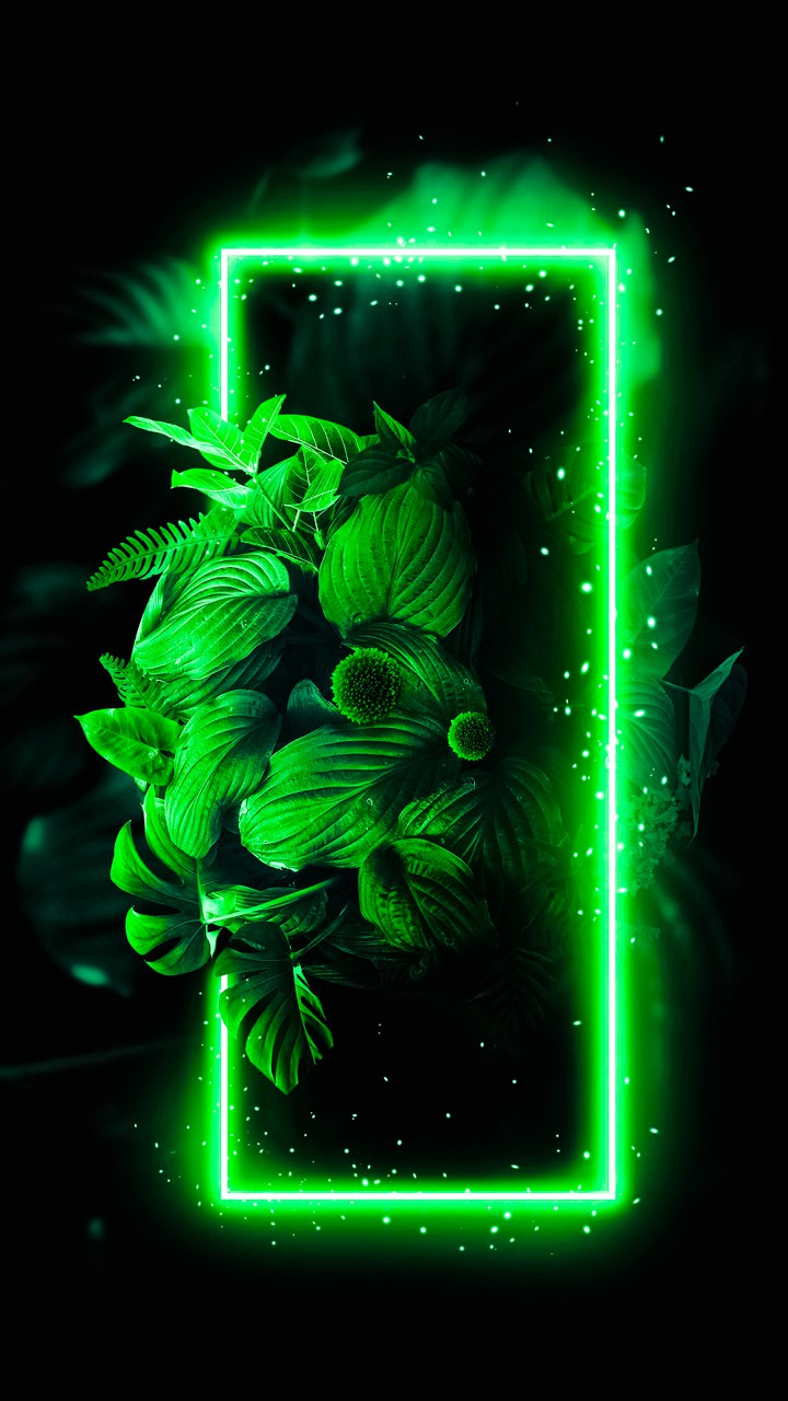 Amoled