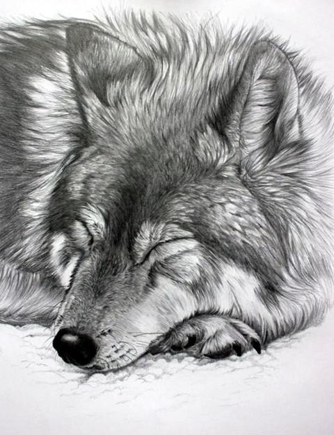 dessin