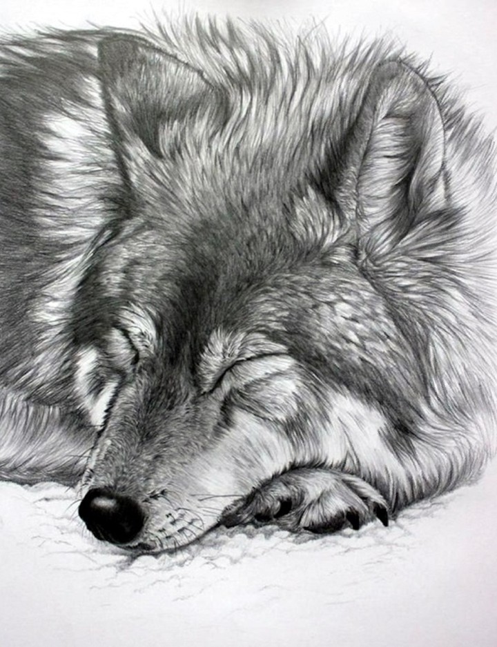 dessin