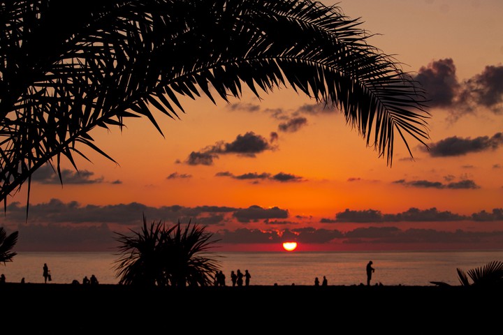 sunset