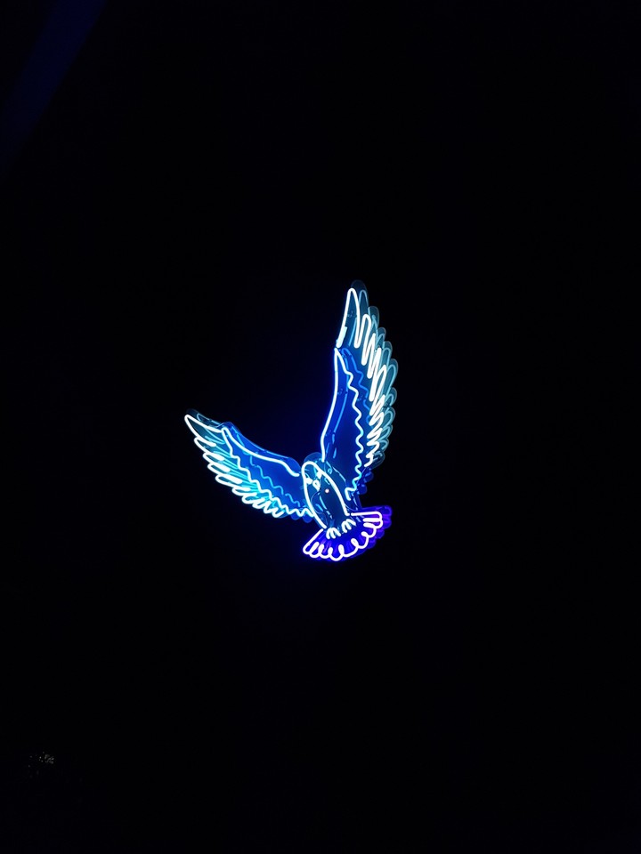 Blue bird