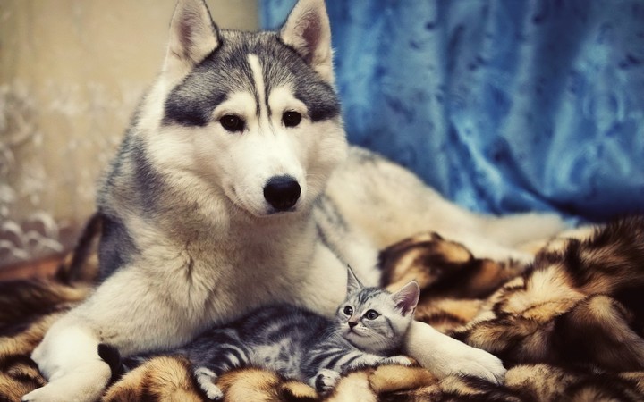 Two friends