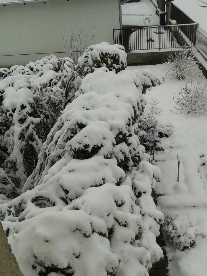 Snow♡