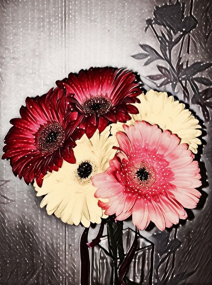 flowers gerbera