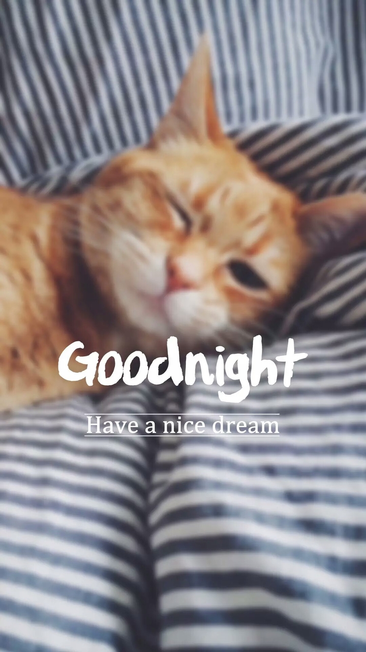 good night