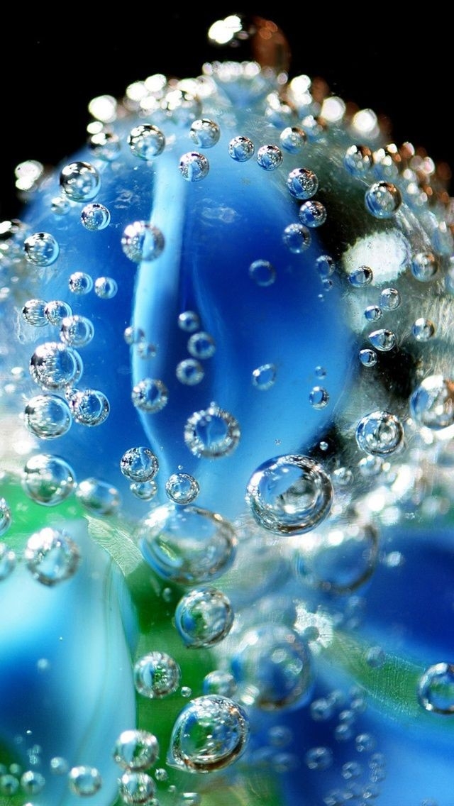 Bulle bleue