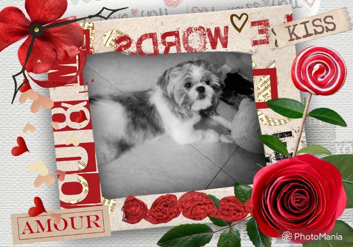 mi toby