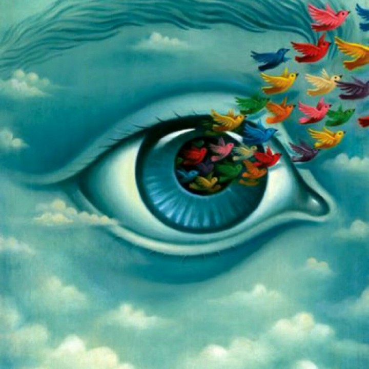 Where All The Birds Have Gone?