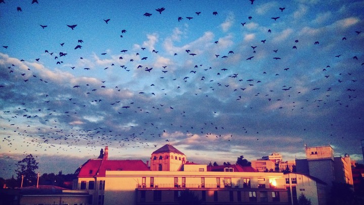 sunset sky