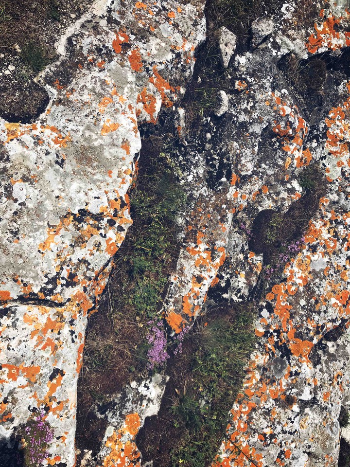 Stones