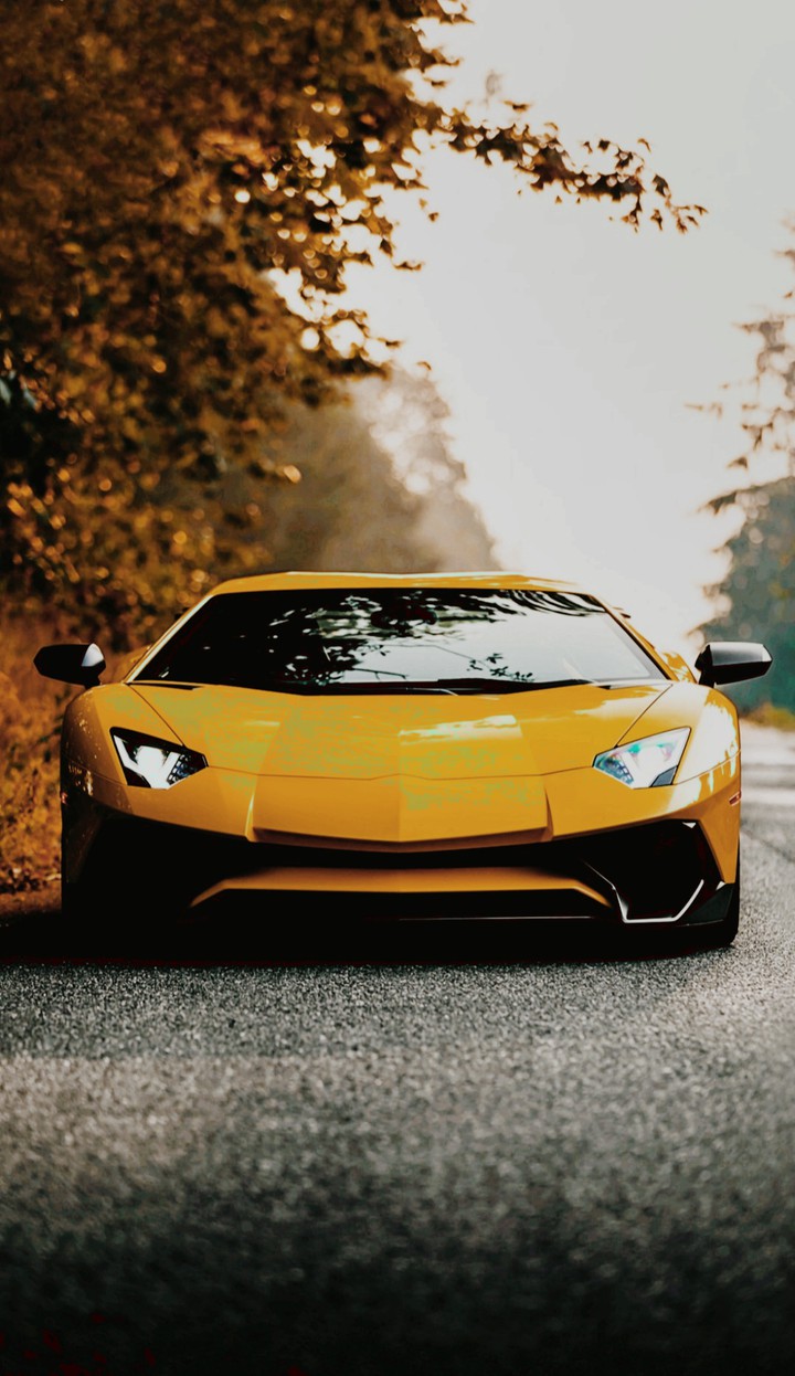 Lamborghini