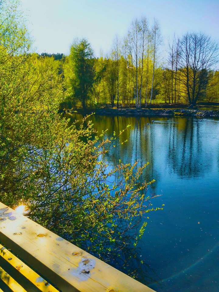 весна