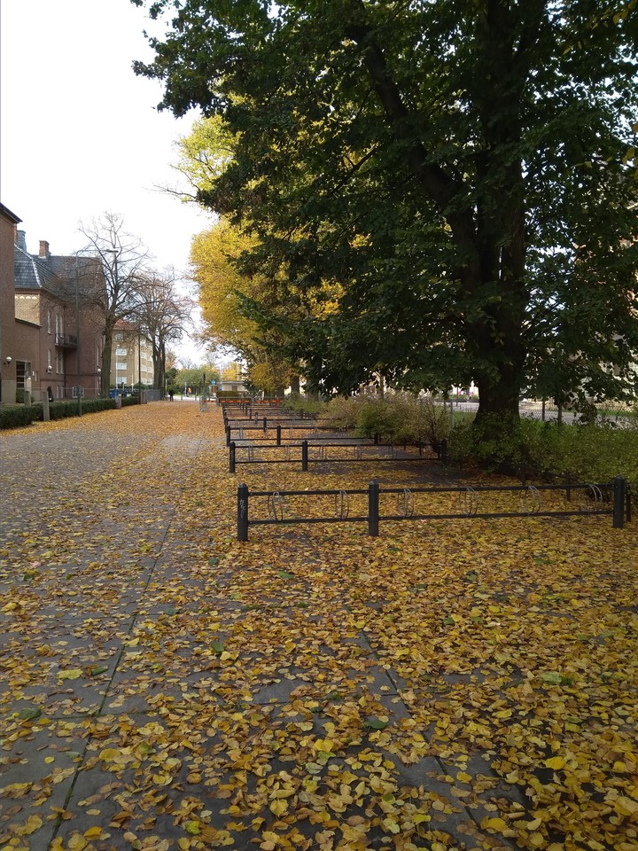 Autumn in Malmö