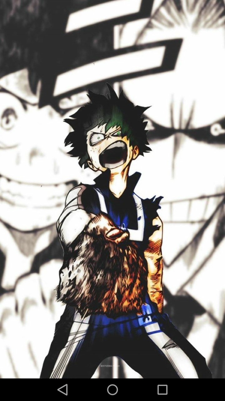 boku no hero