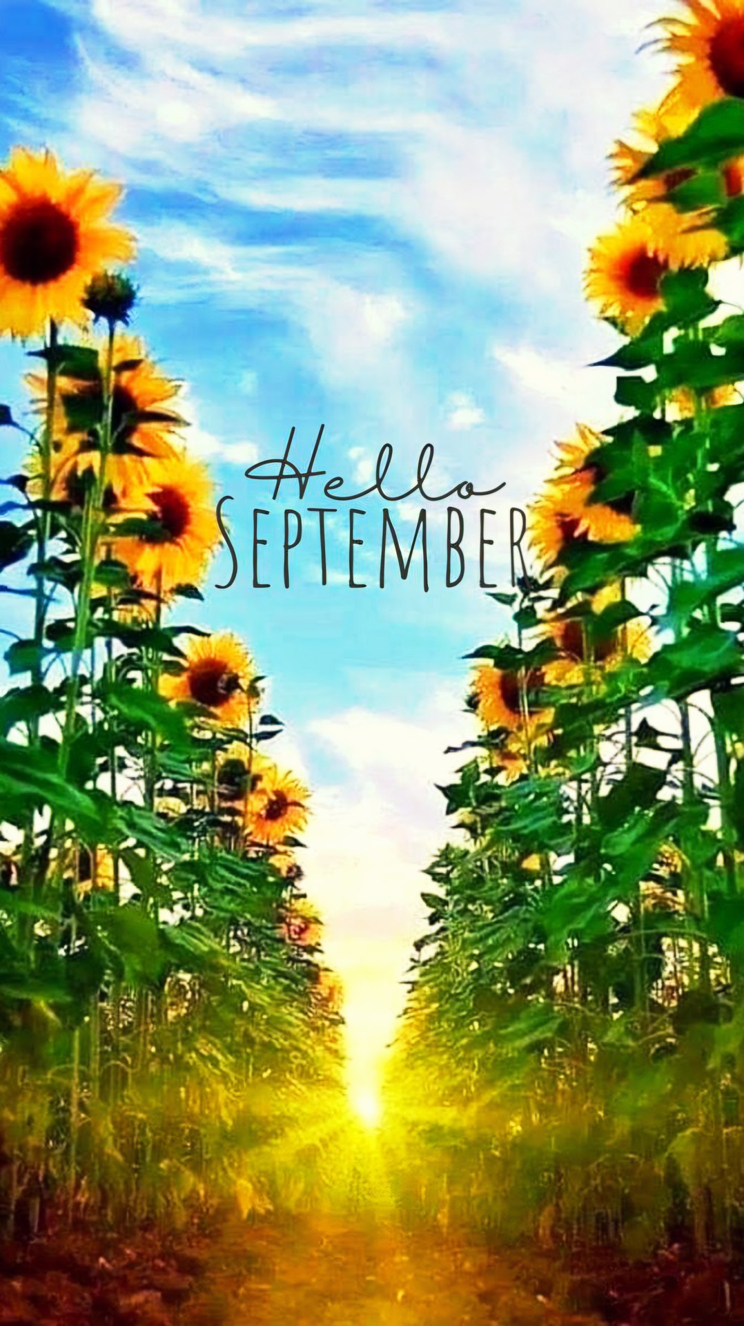 Hello SEPTEMBER