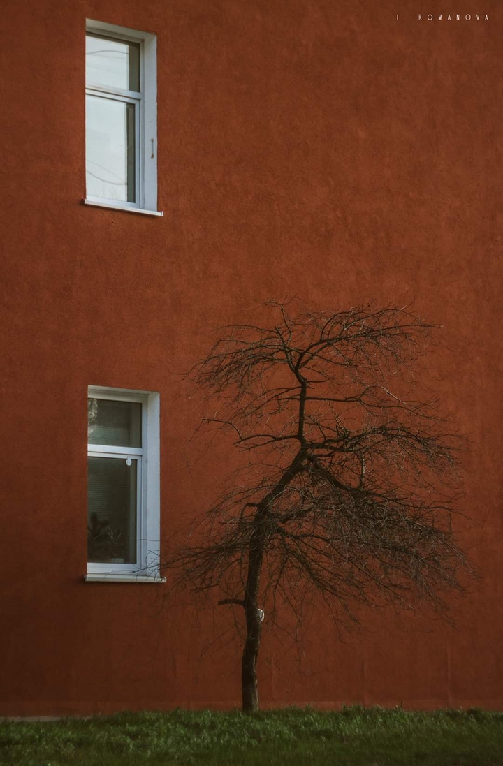 A tree