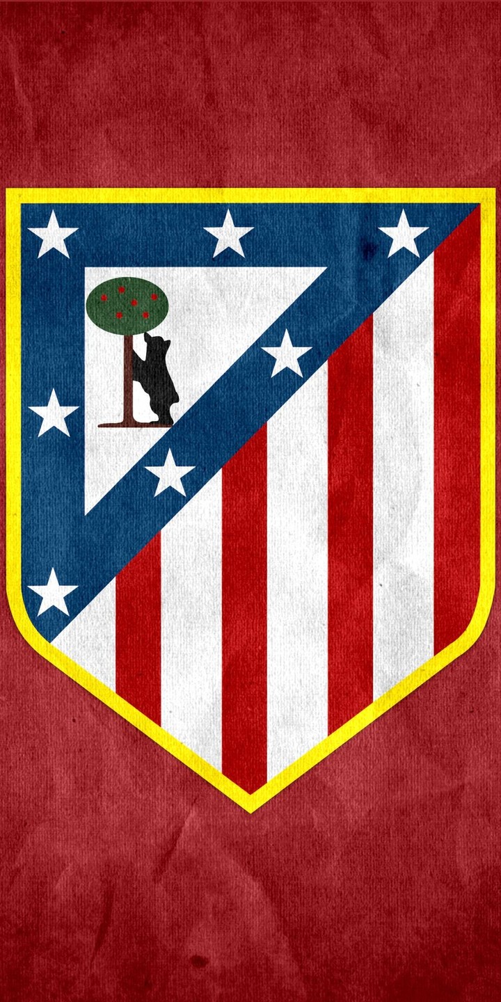 футбол footbal