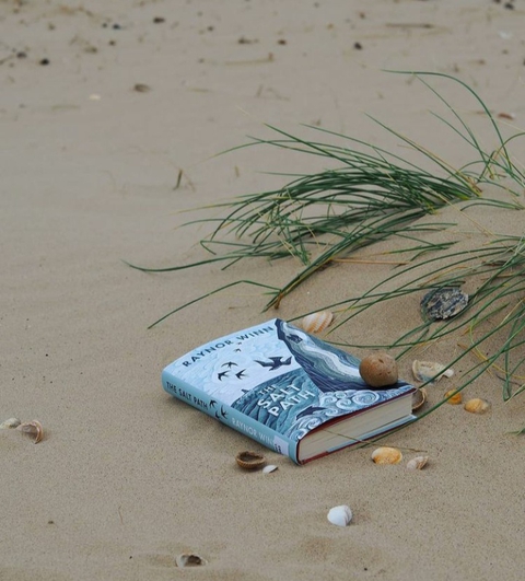 шпалери plant, sea
