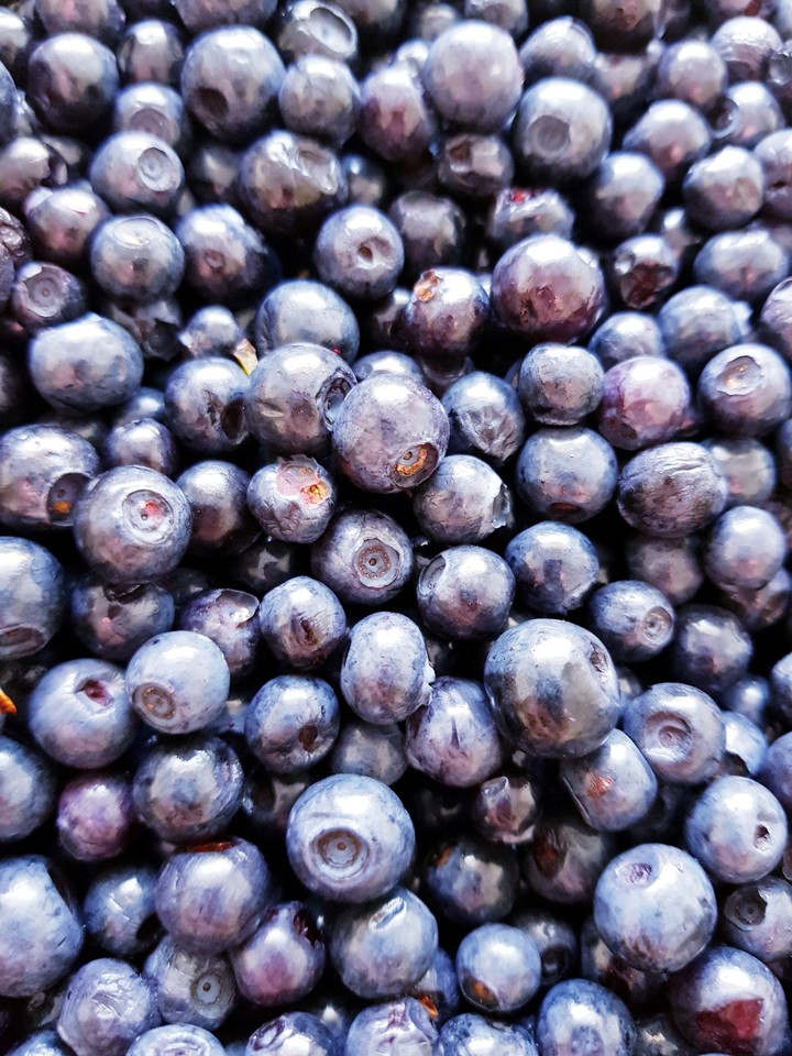 blueberries