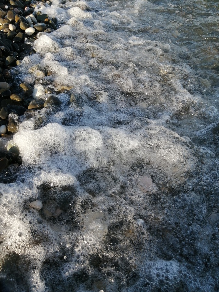 sea...