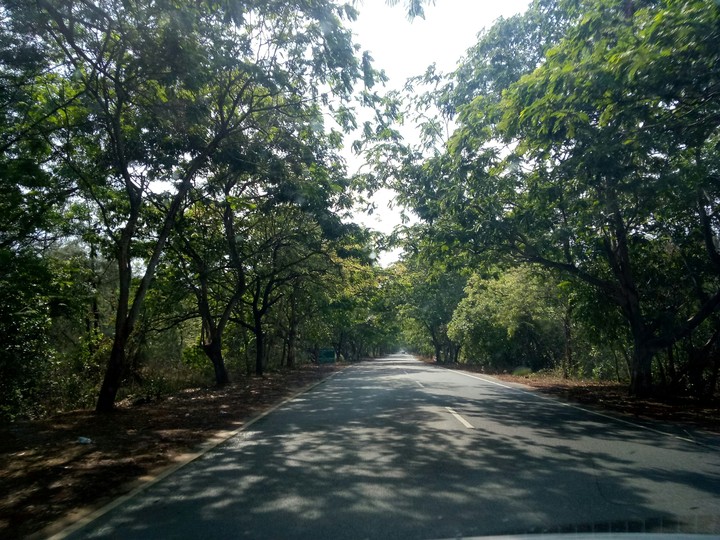 Road to Puri, Odisha, India