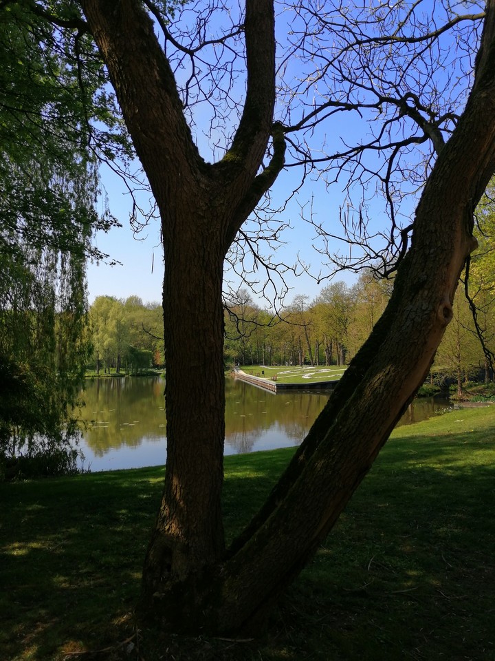 nice view