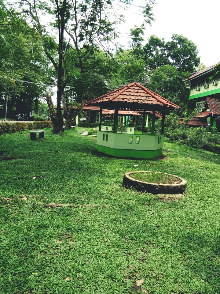 my campus