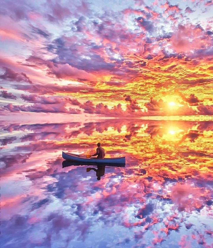 Reflex