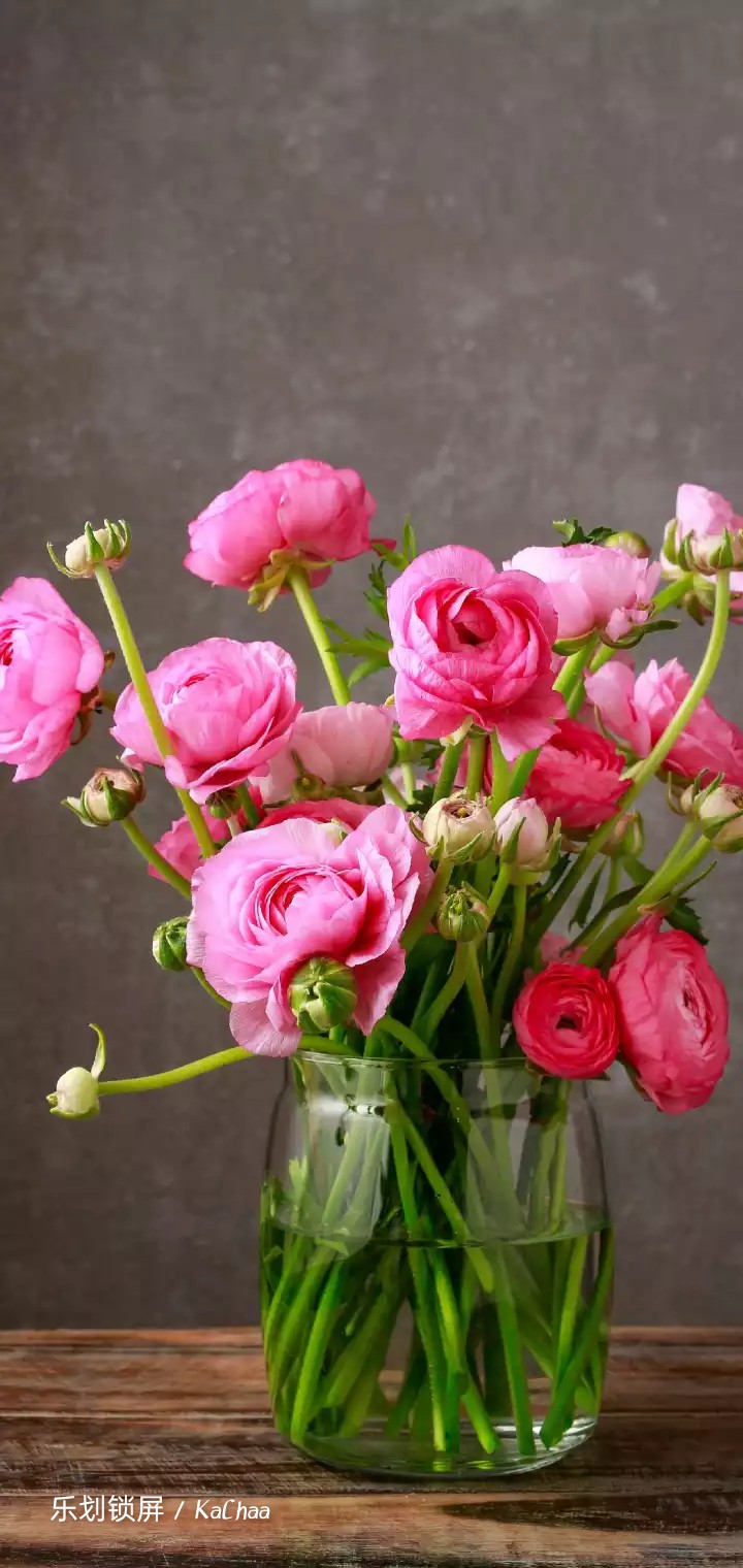 Bunch of roses