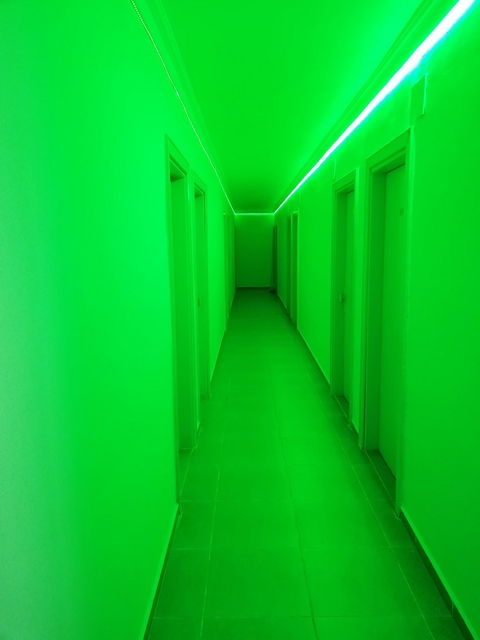 Parallel, verde壁纸