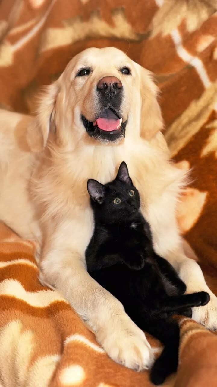 ?