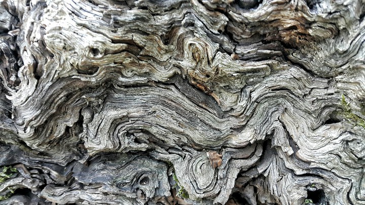 Wood pattern