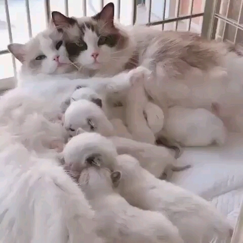 Beautiful family ❤???
**?**
.
? 
? 
?