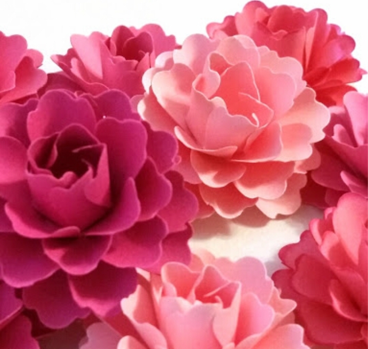 pink