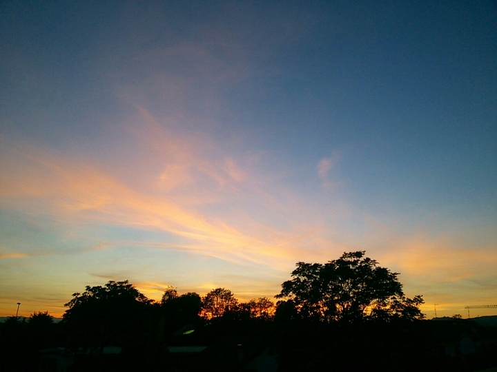yellow sunset