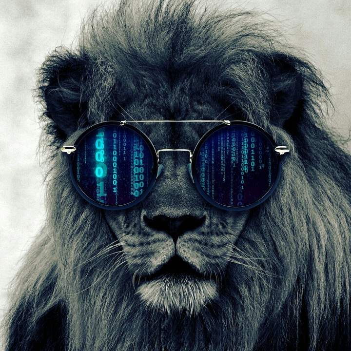 cool leon