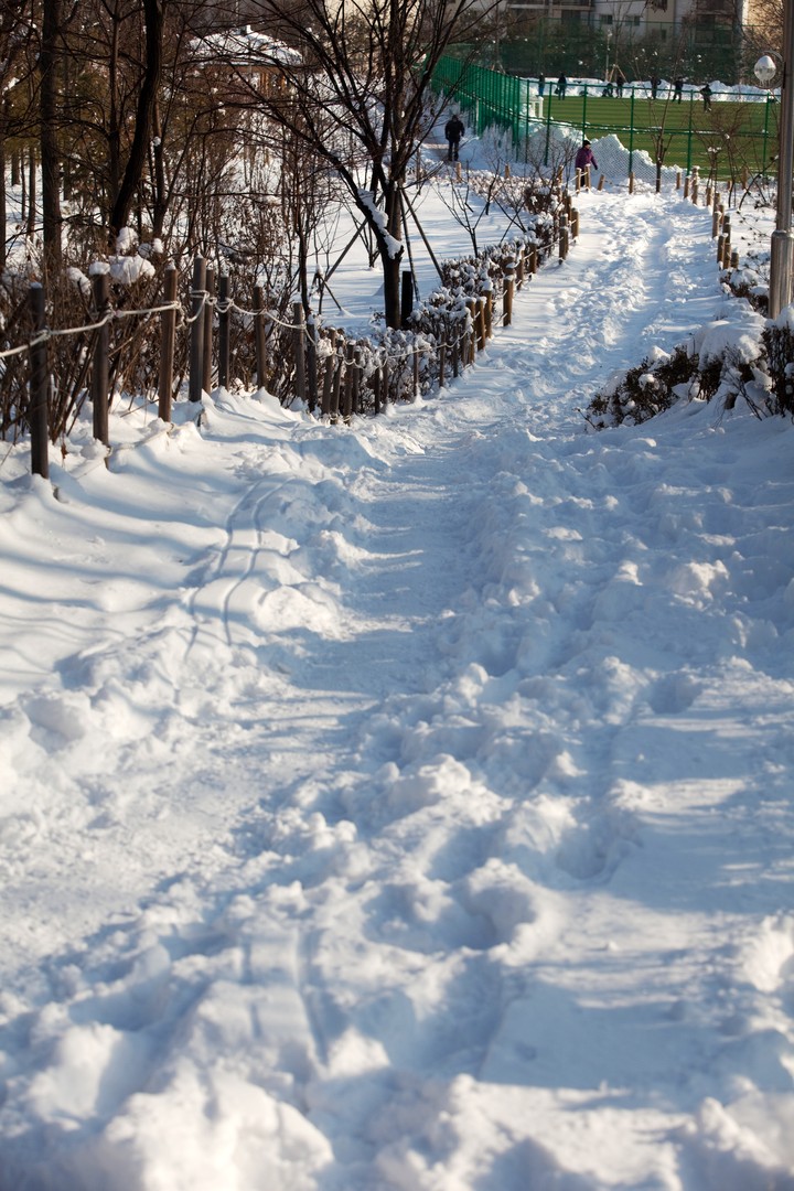Winter