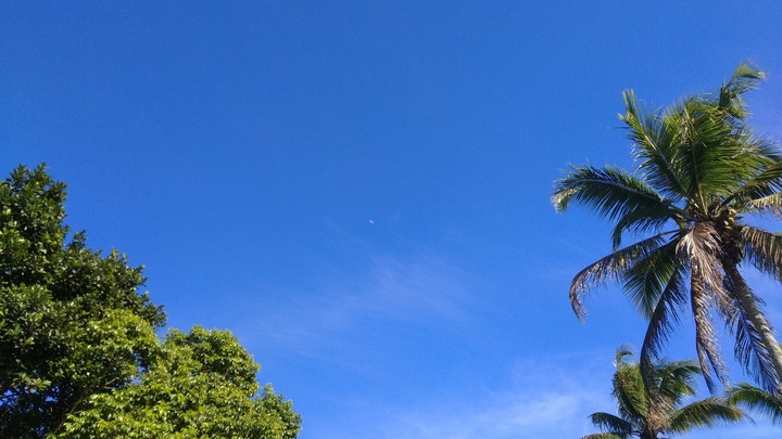 Lua matinal